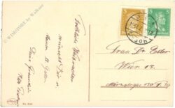 weihnachten: kinder holen den christbaum