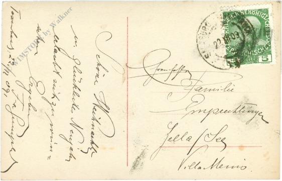 weihnachten: mädchen mit zweig