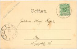 weihnachten: dame auf fahrrad mit baum