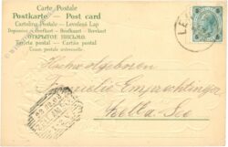 weihnachten: zwerge schmücken den christbaum