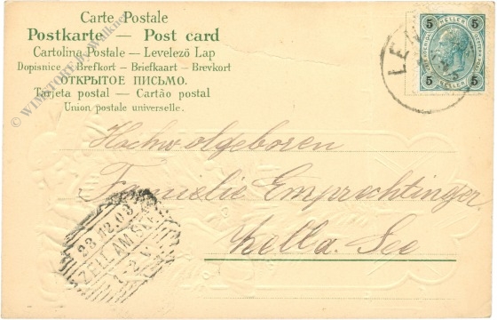 weihnachten: zwerge schmücken den christbaum