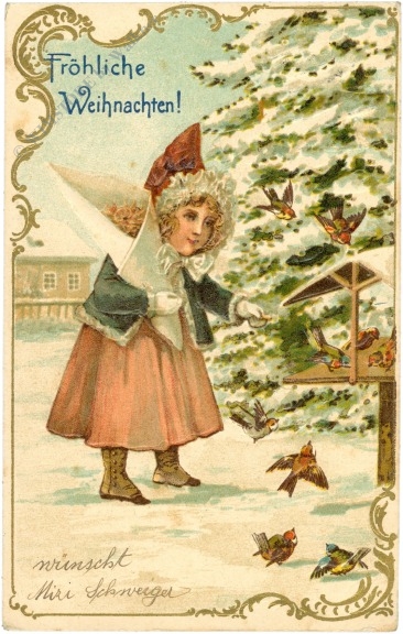 weihnachten: vögel füttern
