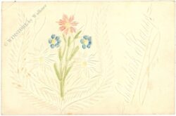 reliefkarte blumen