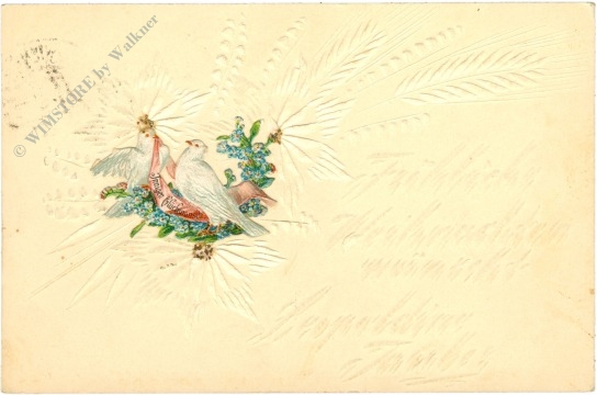 weihnachten: reliefkarte tauben