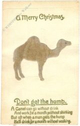 weihnachten: kamel (samtstoff)