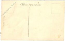 weihnachten: kamel (samtstoff)