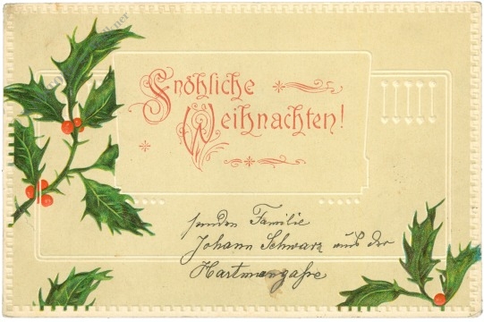 weihnachten: ilexzweige