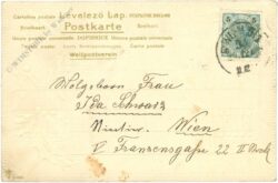 weihnachten: ilexzweige weihnachten: ilexzweige