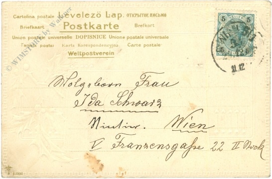 weihnachten: ilexzweige