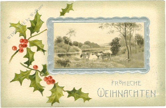 weihnachten: kühe am teich, ilexzweige