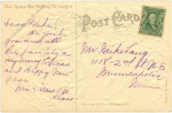 weihnachten: ilex und mistelzweige