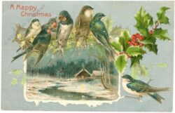 weihnachten: vögel auf zweig sitzend