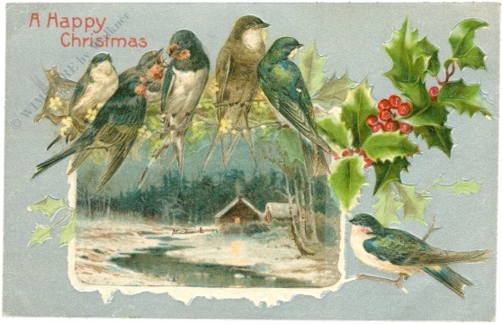 weihnachten: vögel auf zweig sitzend