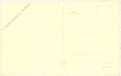 weihnachten: beleuchteter weihnachtsbaum