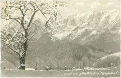 weihnachten: verschneite berge