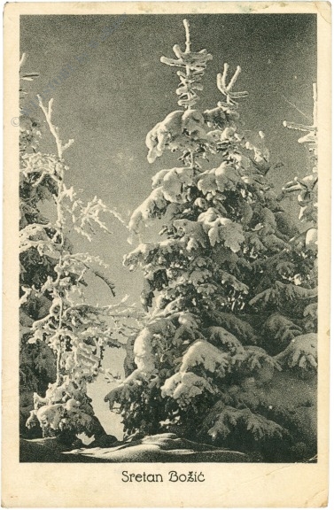 weihnachten: verschneite tannen
