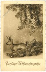 weihnachten: tannenzweige mit zapfen und reh
