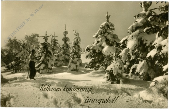 weihnachten: verschneite tannen