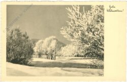 weihnachten: verschneiter weg