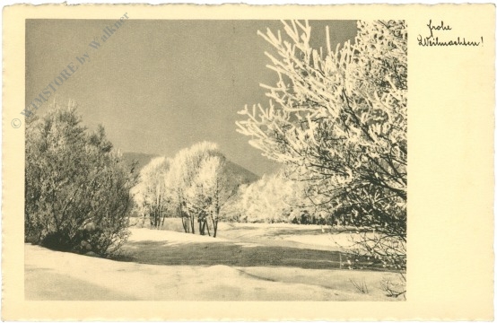 weihnachten: verschneiter weg