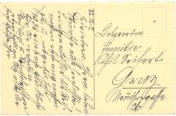 weihnachten: verschneiter weg