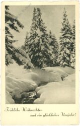 weihnachten: verschneiter wald