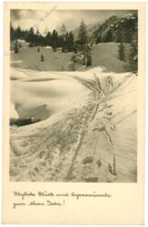 weihnachten: verschneite berge