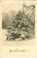 weihnachten: schweizergarten