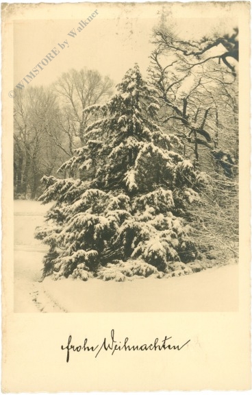 weihnachten: schweizergarten