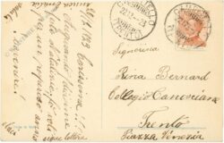 weihnachten: ilex zweige