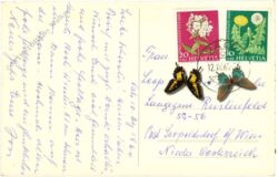 weihnachten: weihnachtslied mit zweigen und kerzen