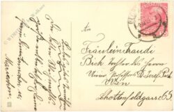 weihnachten: kranz mit zweigen