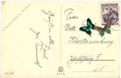 weihnachten: verschneites dorf