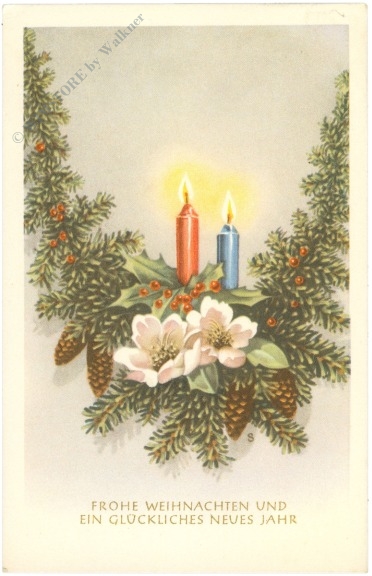 weihnachten: christrose mit kerzen