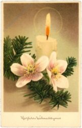weihnachten: blüten mit kerze