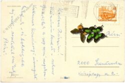 weihnachten: zweig mit kugeln