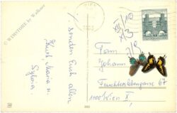 weihnachten: verschneites häuschen im stern