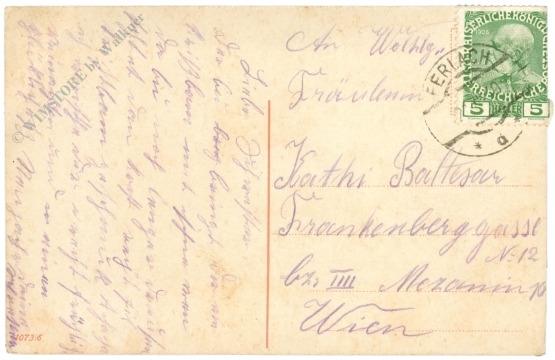 weihnachten: bub fällt den christbaum