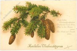 weihnachten: zweig mit zapfen