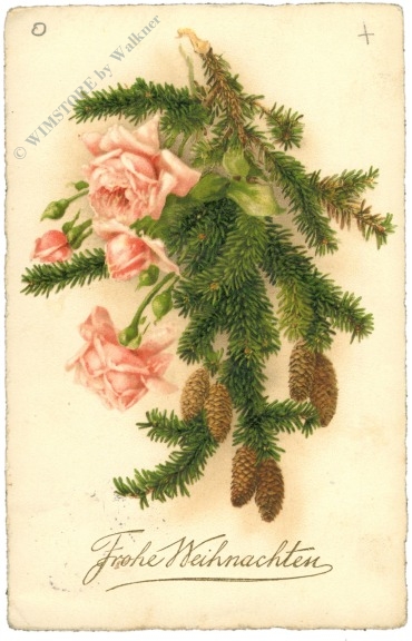 weihnachten: rosen, tannenzweige und zapfen