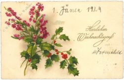 weihnachten: zweige weihnachten: zweige