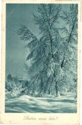 weihnachten: verschneite bäume