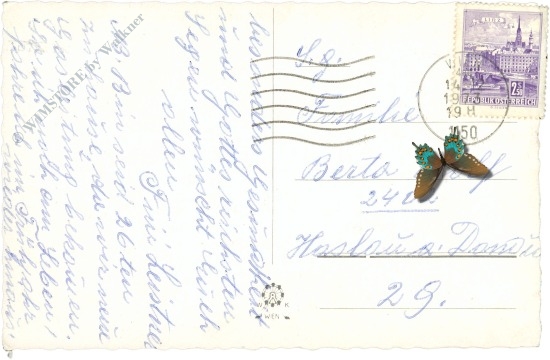 weihnachten: krippenszene