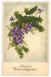 weihnachten: zweig mit veilchen