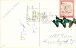 weihnachten: engelchen