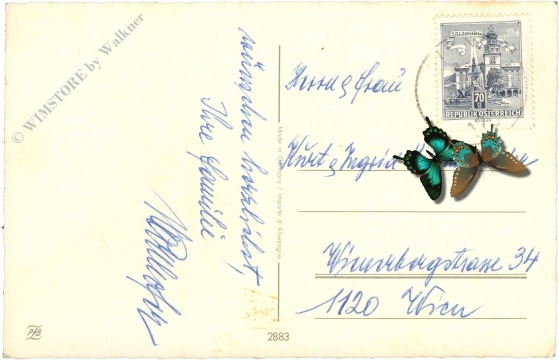 weihnachten: kerze am zweig