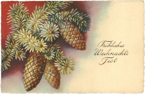 weihnachten: tannenzweige mit zapfen