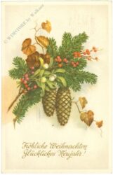 weihnachten: zweige und zapfen