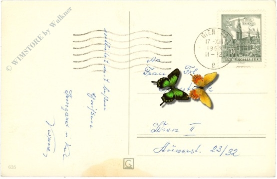 weihnachten: zweige und zapfen