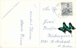 weihnachten: gesteck